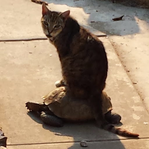 Debbie Neely Photo 11