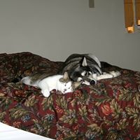 Belinda Tuttle Photo 2