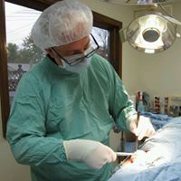 Brian Dawson Photo 11