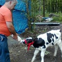 Raymond Shepard Photo 2