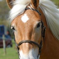 Jill Copeland Photo 34