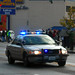 Timothy Roy Photo 31