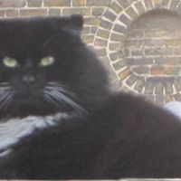 Alice Meadows Photo 6