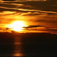 Tracey Fulton Photo 8