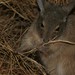 Karen Hare Photo 23