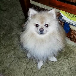 Larry Randolph Photo 32