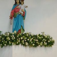 Francis Do Photo 31