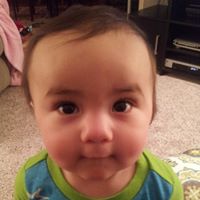 Steven Krauss Photo 16