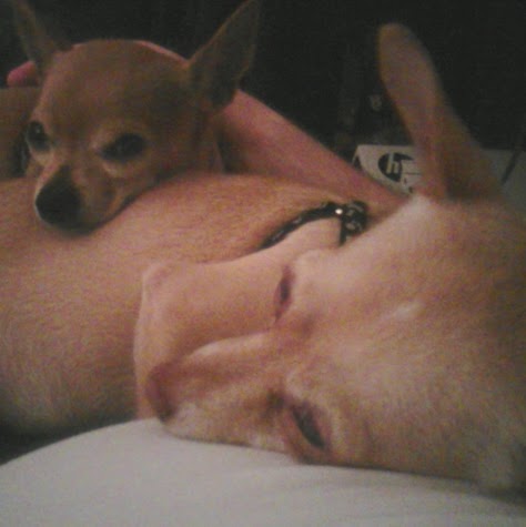 Timothy Archie Photo 16