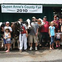 Suzanne Skinner Photo 16