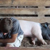 Michael Carey Photo 48 Michael Carey Photo 48