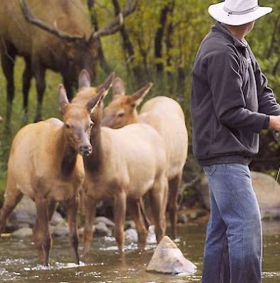 Kim Winters Photo 32