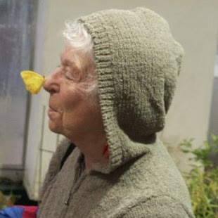 Cindy Finch Photo 19