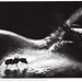Neil Craver Photo 4