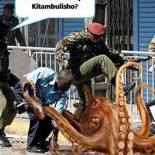 Patrice Kelly Photo 11