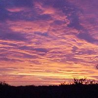 Deborah Cates Photo 8