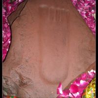 Shaista Shaista Photo 6