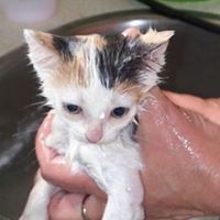 Kathleen Hayward Photo 7