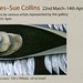 Sue Collins Photo 16