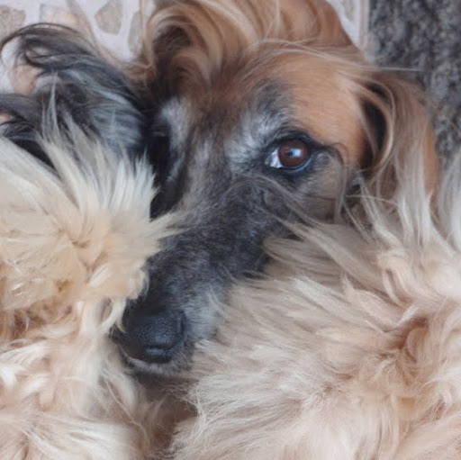 Jessica Bazan Photo 17