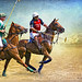 Steve Cavallo Photo 13