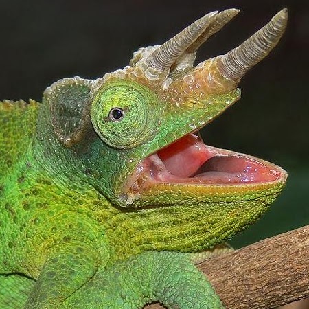 Ruth Michel Photo 10