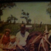 Debbie Mobley Photo 13