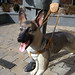 Morris Johnson Photo 47