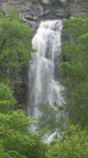 Julie Mcgowan Photo 35