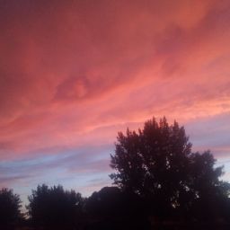 Shane Whitaker Photo 22