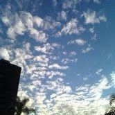 Laura Jenson Photo 21