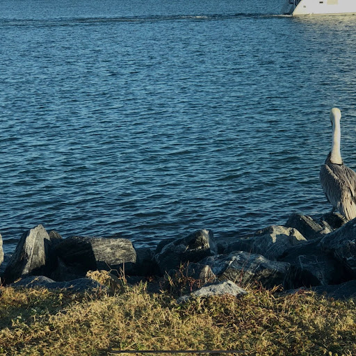 Joan Jackson Photo 4