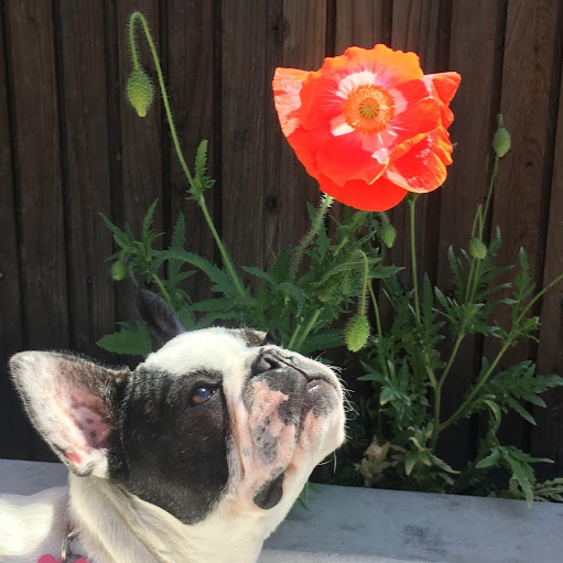 Thomas Rowe Photo 18