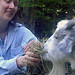 Susan Hays Photo 20