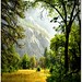 Richard Meadows Photo 47