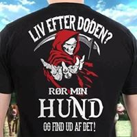 Leslie Flemming Photo 14