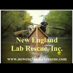 Heather Newton Photo 16