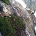 Arthur Laroche Photo 17
