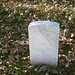 Edward Carroll Photo 39