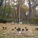 Michael Fields Photo 6
