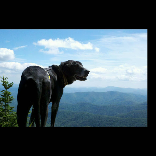 Sara Jeffers Photo 9