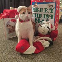 Nancy Wiseman Photo 23