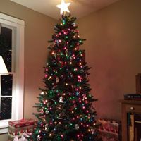 Cindy Jensen Photo 14 Cindy Jensen Photo 14