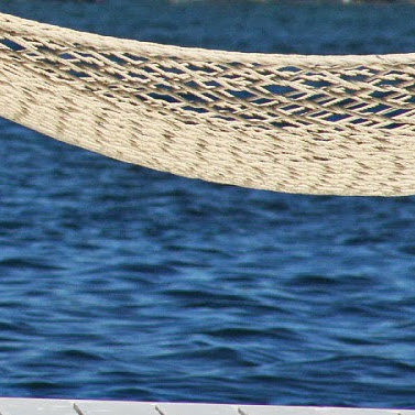 Sara Schmitz Photo 36