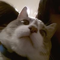 Kathy Chang Photo 14