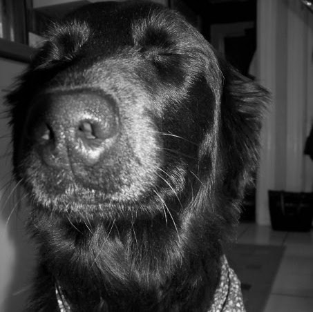 Melanie Davis Photo 42