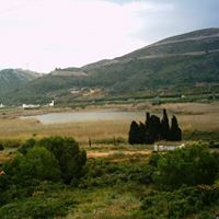 Michael Knorr Photo 35