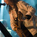 Alicia Greene Photo 37