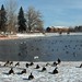 Kathleen Swan Photo 32