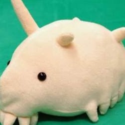 Brandon Dawson Photo 25